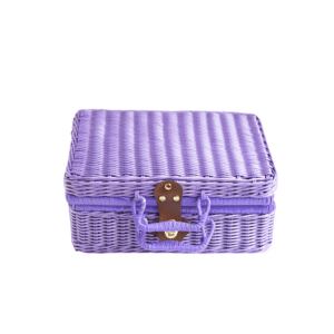 Factory Direct Sustainable Handmade Colorful Portable Plastic Fruit Rattan Picnic Gift Storage Baskets With Lid Handle Camping